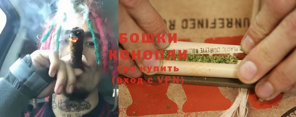 МДПВ Заводоуковск