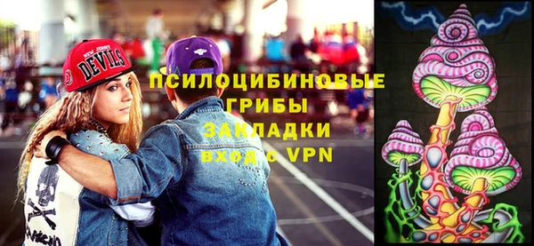 МДПВ Заводоуковск