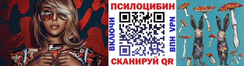 Галлюциногенные грибы Magic Shrooms  Димитровград 