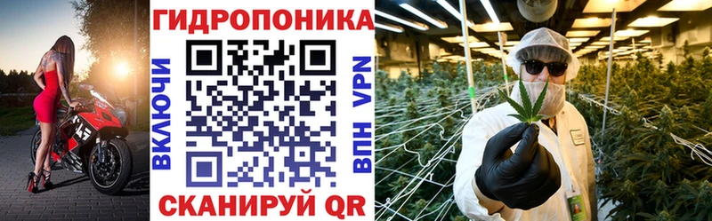 МАРИХУАНА SATIVA & INDICA  Димитровград 
